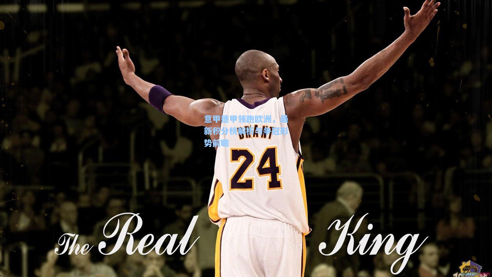 意甲德甲领跑欧洲,最新积分榜解析与争冠形势前瞻