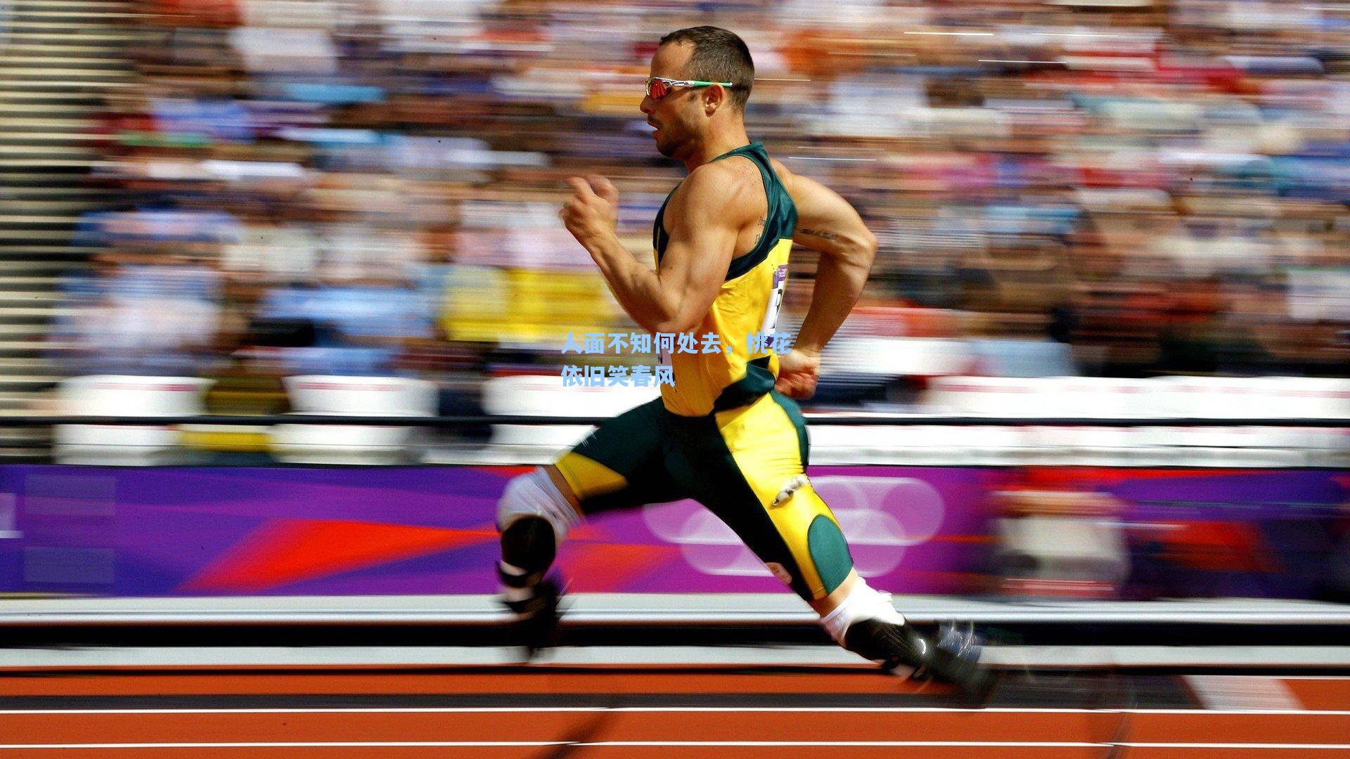 人面不知何处去,桃花依旧笑春风