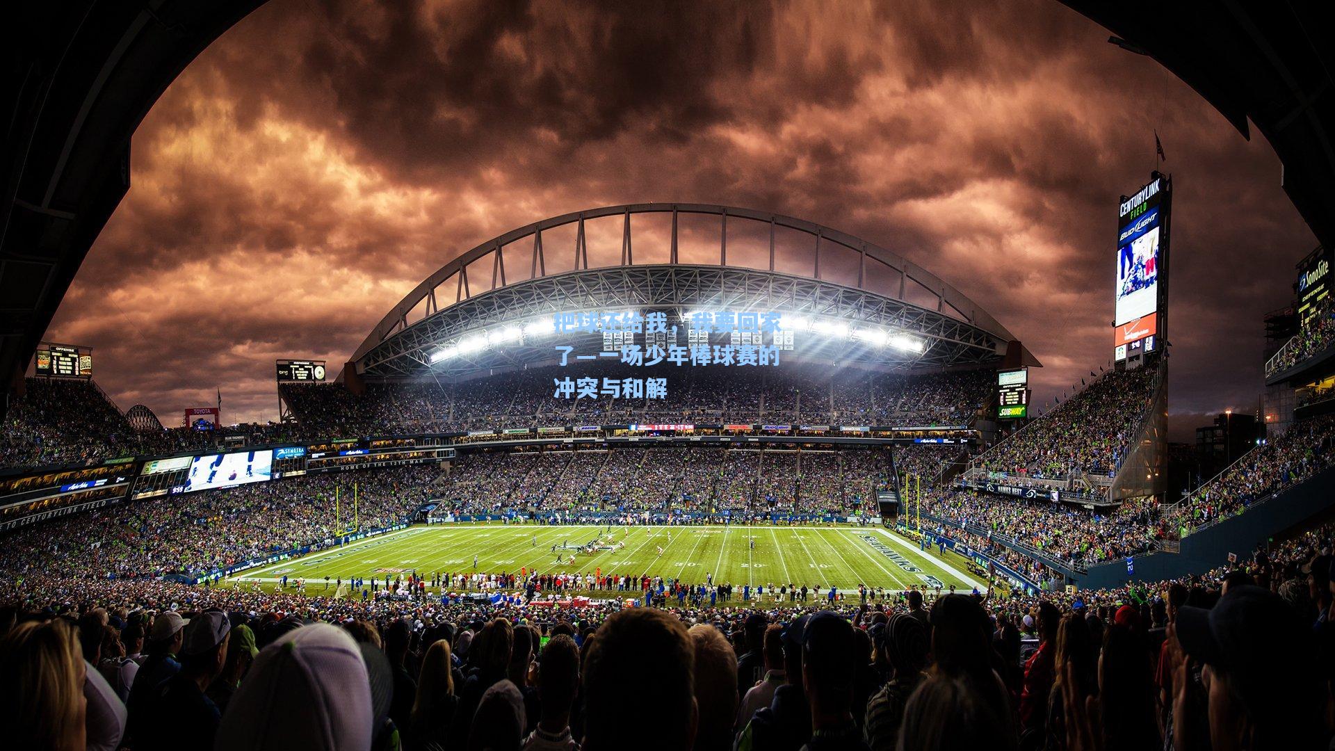 把球还给我,我要回家了—一场少年棒球赛的冲突与和解